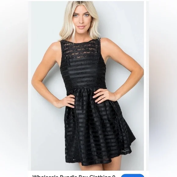 Anthropologie Finn & Clover Fit and Flare cut Mesh Black Lace Dress Size Small - Picture 1 of 5